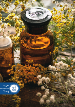 Chorzów Wydarzenie Inne wydarzenie 25.04  Twórcze Siedlisko – Warsztaty Zielarskie